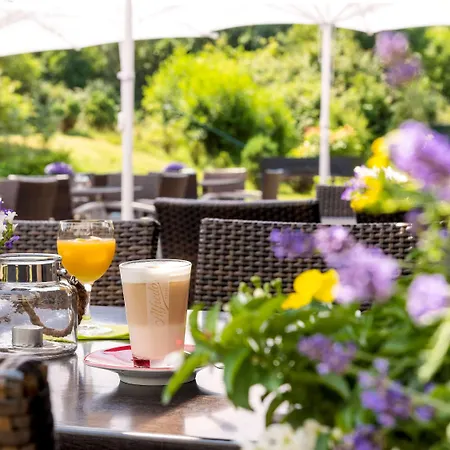 Mercure Düsseldorf Airport Hotel 4*